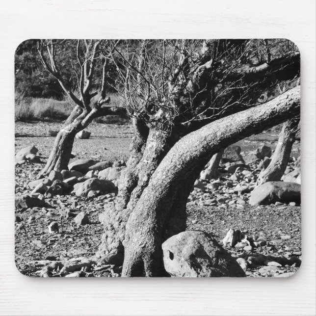 BLACK AND WHITE TREES    MOUSE PAD (Front)