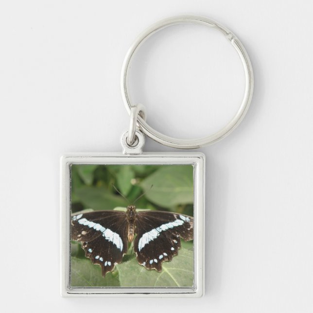 Black and White Tropical Butterfly Keychain (Front)