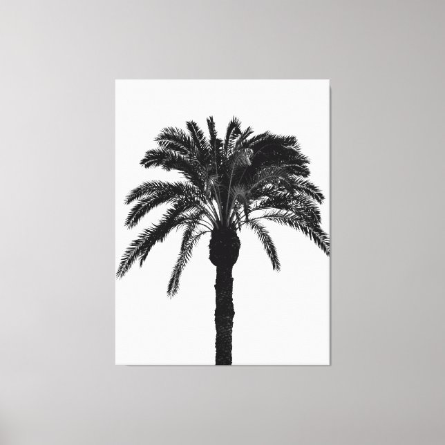 black and white  tropical palm tree canvas print (Front)
