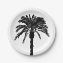 Black and white tropical palm tree