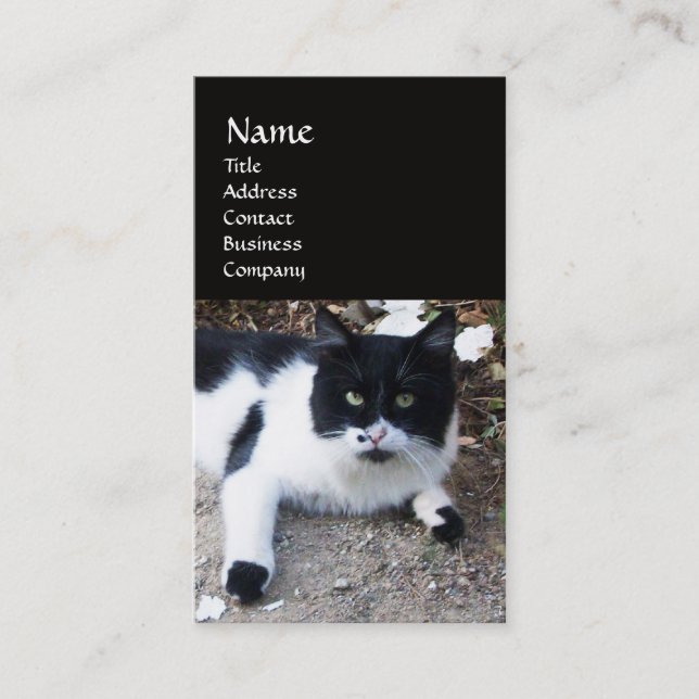 BLACK AND WHITE TURKISH CAT PIERO BUSINESS CARD (Front)