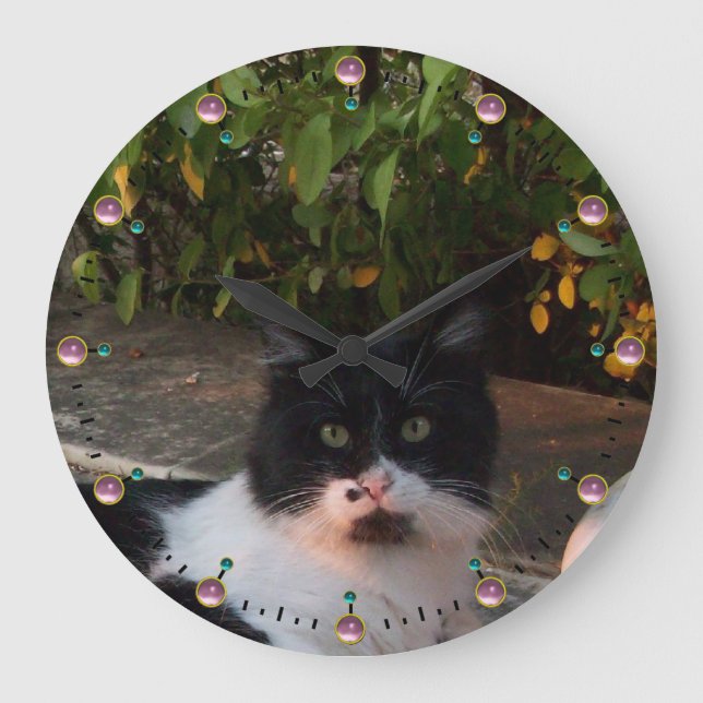 BLACK AND WHITE TURKISH CAT PIERO,Pink Gemstones Large Clock (Front)