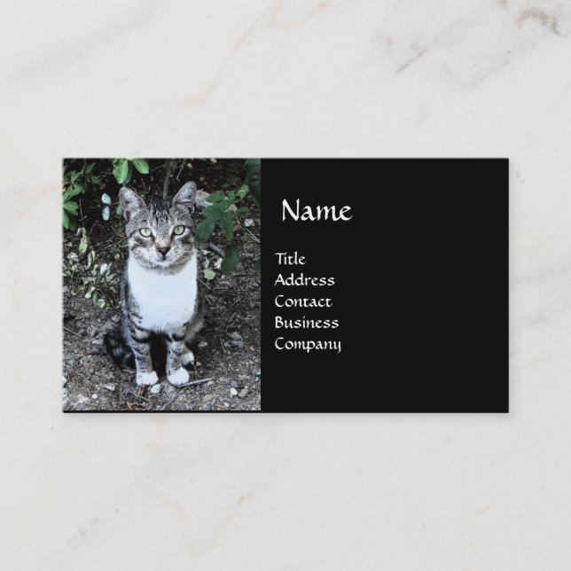 BLACK AND WHITE TURKISH CAT RONIN BUSINESS CARD (Front)