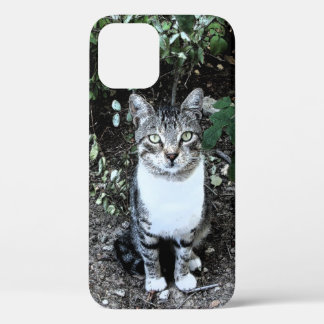 BLACK AND WHITE TURKISH CAT RONIN iPhone 12 CASE