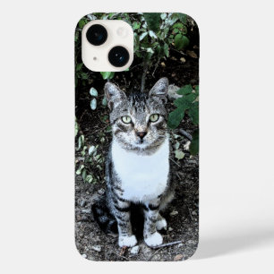 BLACK AND WHITE TURKISH CAT RONIN Case-Mate iPhone 14 CASE
