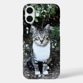 BLACK AND WHITE TURKISH CAT RONIN iPhone 16 PLUS CASE