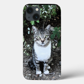 BLACK AND WHITE TURKISH CAT RONIN iPhone 13 CASE