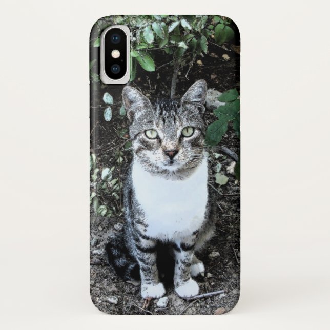 BLACK AND WHITE TURKISH CAT RONIN Case-Mate iPhone CASE (Back)