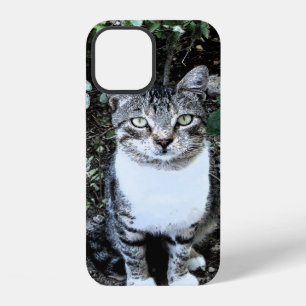 BLACK AND WHITE TURKISH CAT RONIN iPhone 12 CASE