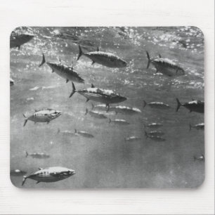 Black and White underwater photograph of Tunas Mouse Pad