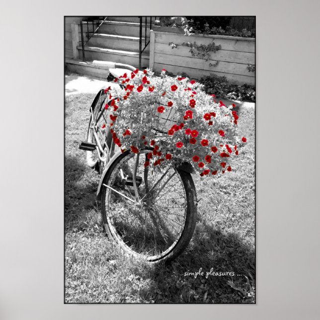 Black and White Vintage Bicycle Red Flowers Poster (Front)