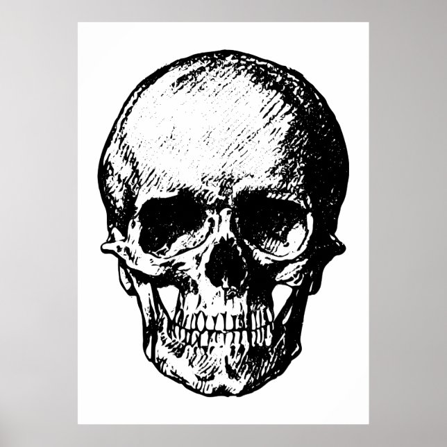 Black and White Vintage Skull Illustration Poster (Front)