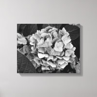 Black and White wall art Hydrangea