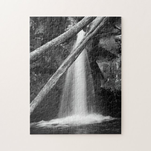 Black and white waterfall jigsaw puzzle (Vertical)