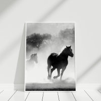 Black and White Wild Horses in Mist Wall Art