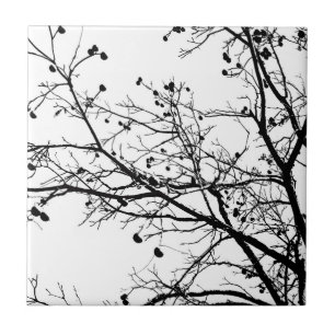 Black and White Winter Tree Tile