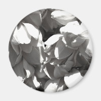 black and white yucca lillies