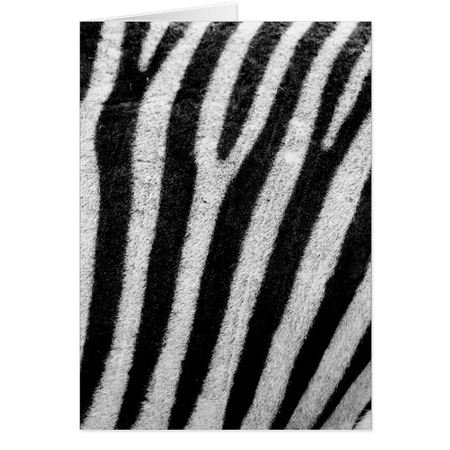 Black and White Zebra Hair Stripes (Front)