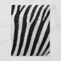 Black and White Zebra Hair Stripes