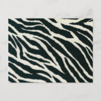 Black and White Zebra Print Postcards