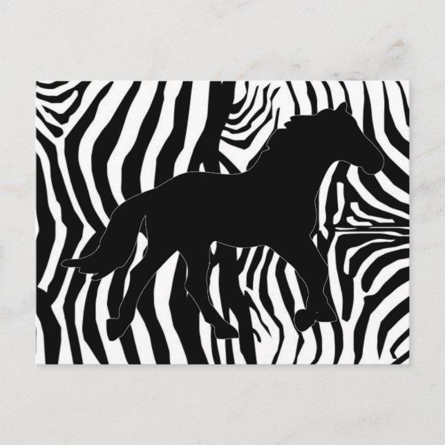 Black And White Zebra Stripes Postcard (Front)
