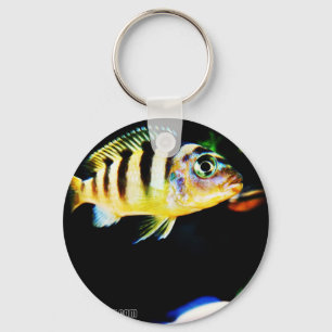 Black and Yellow African Cichlid Fish Key Ring