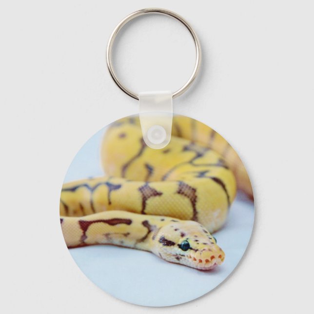 Black and Yellow Ball Python 2 Key Ring (Front)