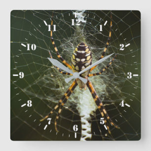 Black and yellow garden spider square wall clock