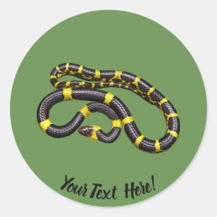 Black and yellow snake classic round sticker