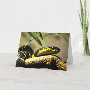 Black and yellow snake holiday card
