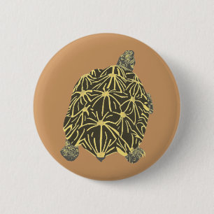 Black and Yellow Star Tortoise, painting on button