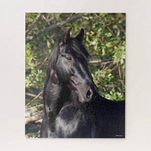 Black Andalucian Horse Standing Headshot Jigsaw Puzzle