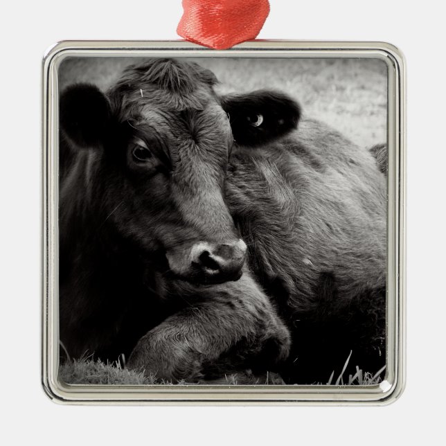 Black Angus Beef Cow Metal Tree Decoration (Front)