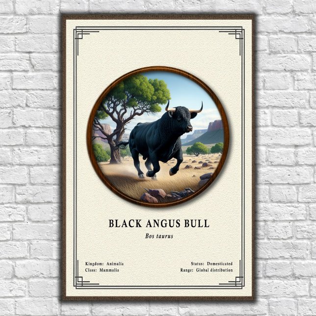 Black Angus Bull Zoology Series Poster (Creator Uploaded)