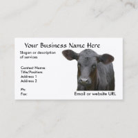 Black Angus Calf  for Cattle Rancher