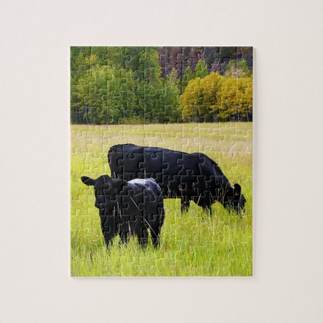 Black Angus Cattle Grazing in Yellow Grass Field Jigsaw Puzzle (Vertical)