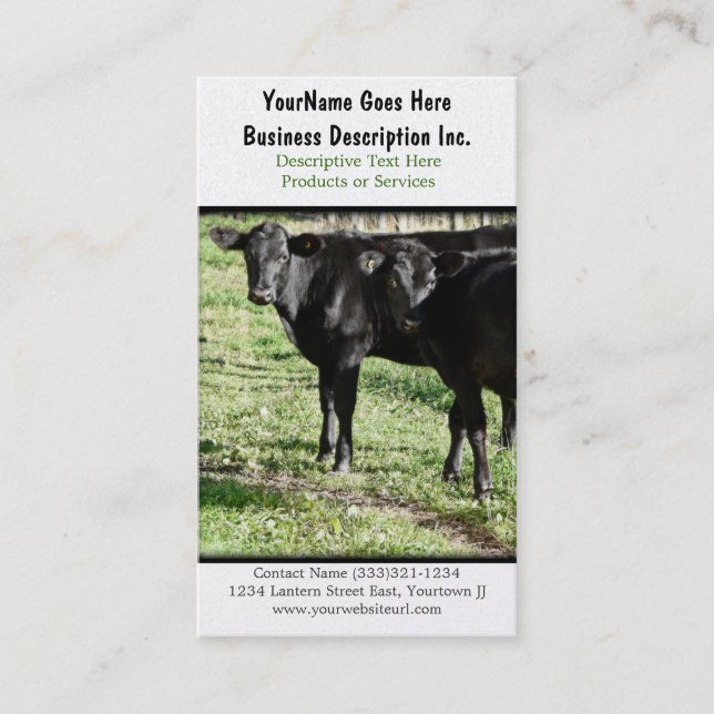 Black Angus Cattle Ranch Business Card (Front)