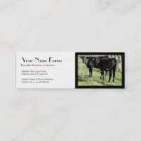 Black Angus Cattle Ranch