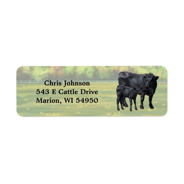 Black Angus Cow & Cute Calf in Summer Pasture (Front)