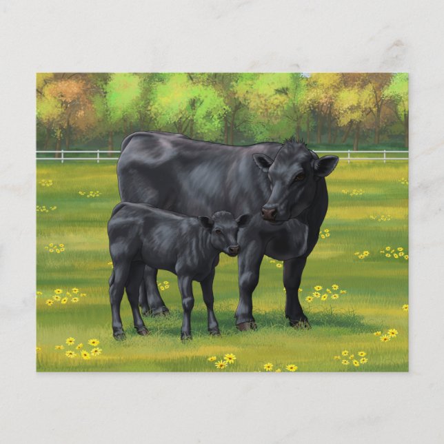 Black Angus Cow & Cute Calf in Summer Pasture (Front)