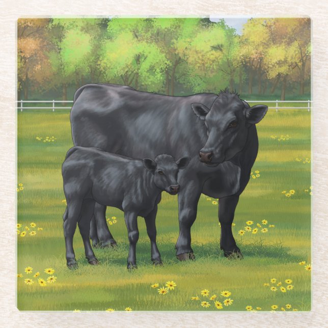 Black Angus Cow & Cute Calf in Summer Pasture Glass Coaster (Front)