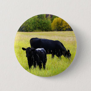Black Angus Pair in Field 6 Cm Round Badge