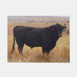 Black Angus Steer Grazing with its Herd Doormat