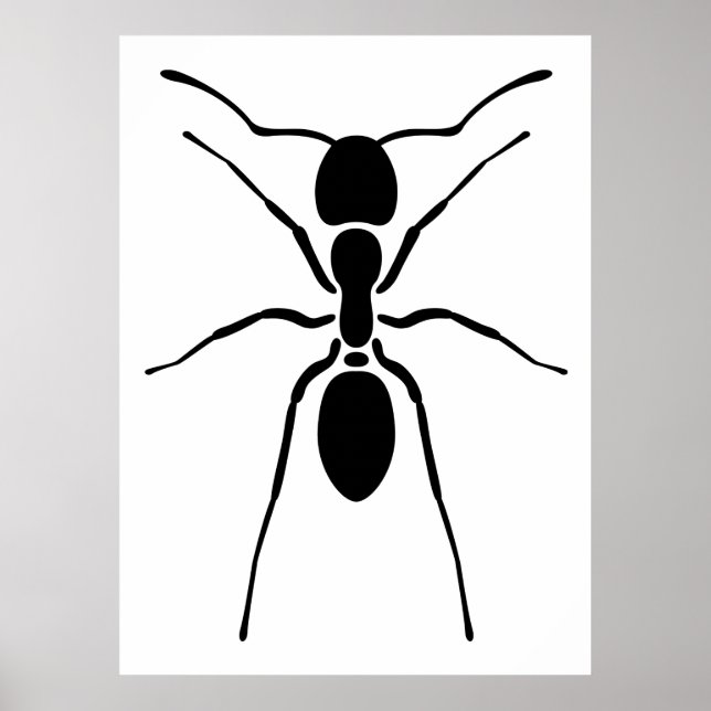 Black Ant Poster (Front)