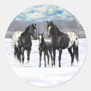 Black Appaloosa Horses In Snow Classic Round Sticker