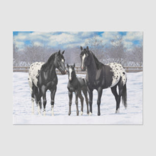 Black Appaloosa Horses In Snow Tissue Paper