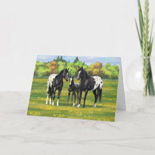 Black Appaloosa Horses In Summer Pasture Card