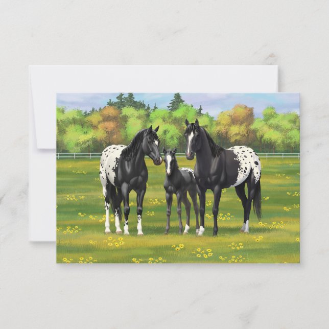 Black Appaloosa Horses In Summer Pasture Invitation (Front)