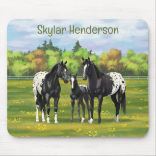 Black Appaloosa Horses In Summer Pasture Mouse Pad