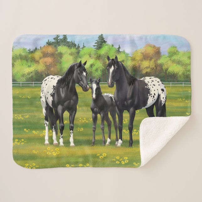 Black Appaloosa Horses In Summer Pasture Sherpa Blanket (Front (Horizontal))